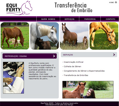 equi_ferty_2009914182922 equi_ferty_2009914182922