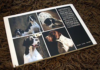fotolivro_dogs1