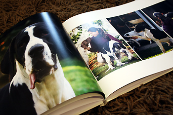 fotolivro_dogs2