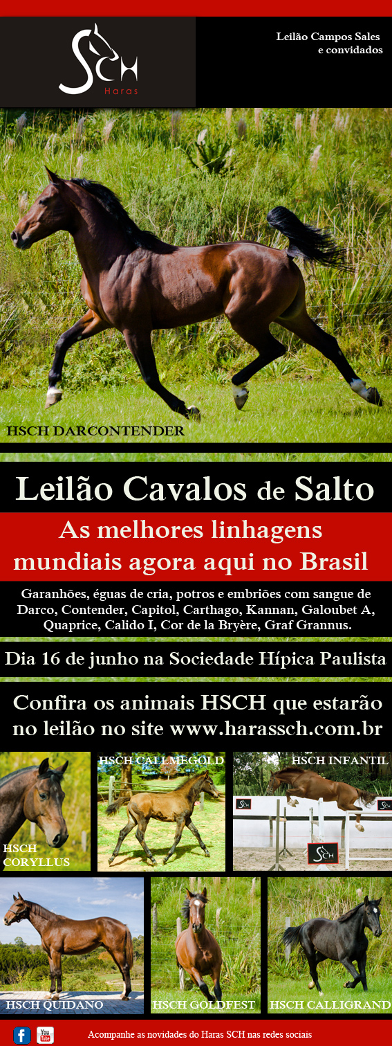 flyer_leilaoHSCH
