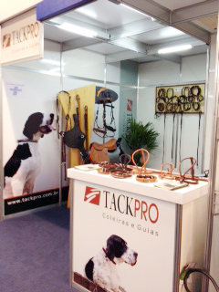 feira_pet12